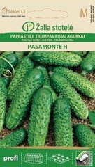 Paprastieji trumpavaisiai agurkai Pasamonte H kaina ir informacija | Daržovių, uogų sėklos | pigu.lt