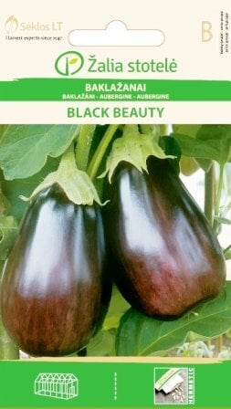 Baklažanai Black Beauty цена и информация | Daržovių, uogų sėklos | pigu.lt