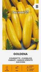 Кабачки Goldena цена и информация | Семена овощей, ягод | pigu.lt