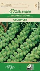 Брюсельська капуста GRONINGER, 1 г цена и информация | Семена овощей, ягод | pigu.lt