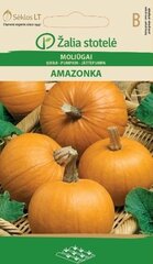 Тыква AMAZONKA, 1.7 г цена и информация | Семена овощей, ягод | pigu.lt