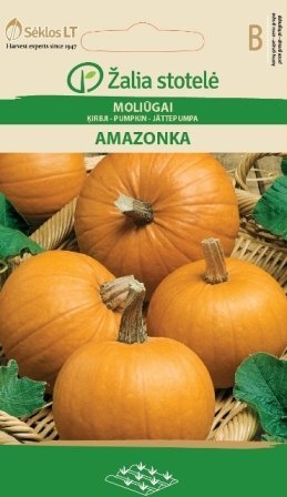 Moliūgai Amazonka цена и информация | Daržovių, uogų sėklos | pigu.lt