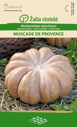 Muskusiniai moliūgai Muscade De Provence цена и информация | Daržovių, uogų sėklos | pigu.lt