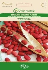 Карликовая французская фасоль WAWELSKA, 15 г цена и информация | Семена овощей, ягод | pigu.lt