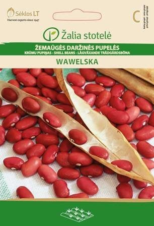 Žemaūgės daržinės pupelės Wawelska цена и информация | Daržovių, uogų sėklos | pigu.lt