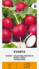 Редис KVARTA, 3 г цена и информация | Семена овощей, ягод | pigu.lt