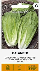 Sėjamosios salotos Galander kaina ir informacija | Daržovių, uogų sėklos | pigu.lt