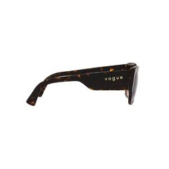 Солнцезащитные очки для женщин Vogue VO 5462S S7265306 цена и информация | Женские солнцезащитные очки | pigu.lt