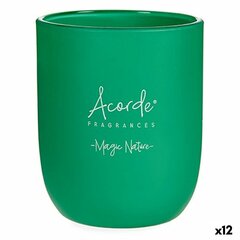 Acorde aromatizuota žvakė Magic Nature, 12 vnt цена и информация | Подсвечники, свечи | pigu.lt