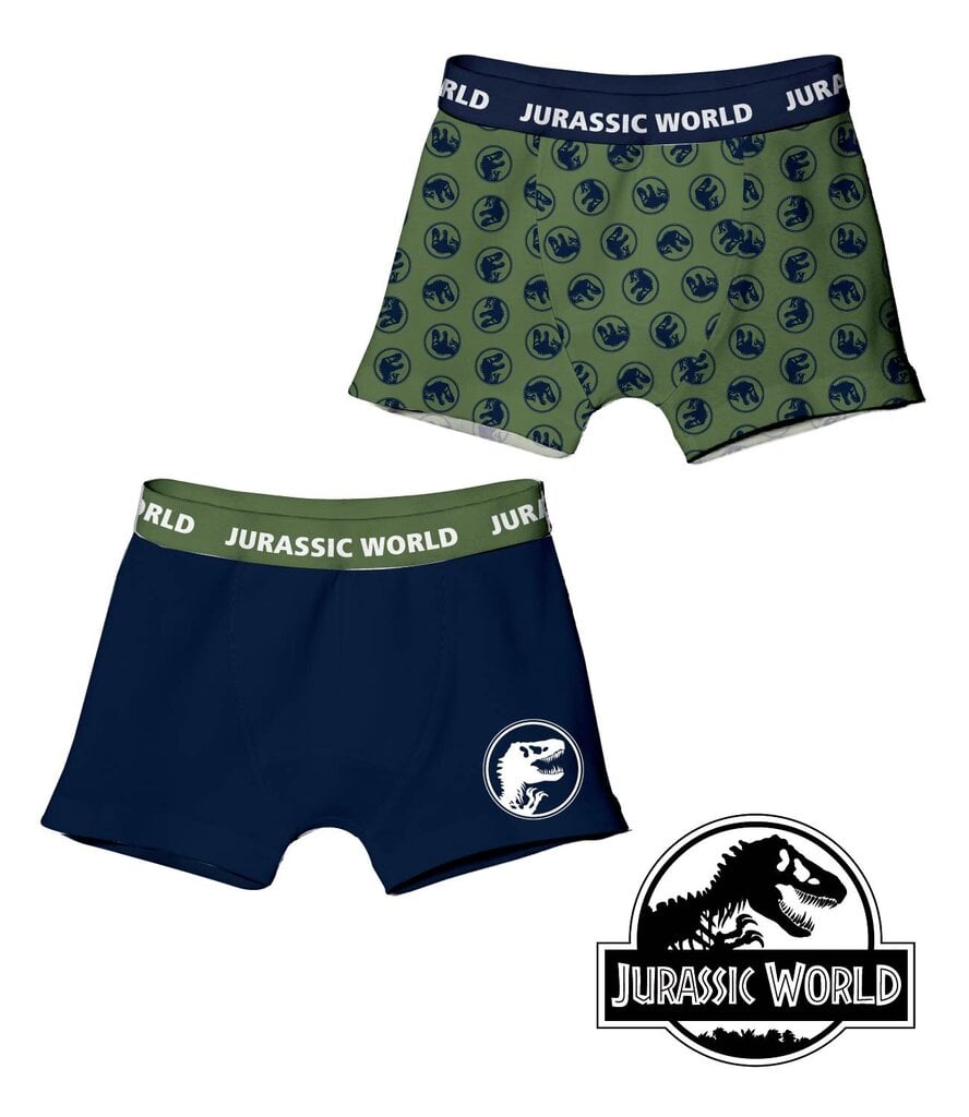 Kelnaitės berniukams Jurassic World, įvairių spalvų, 2 vnt. kaina ir informacija | Apatiniai drabužiai berniukams | pigu.lt
