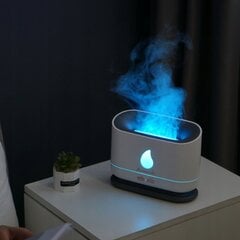 Осушитель воздуха с эффектом света LED Aromaholik цена и информация | Увлажнители воздуха | pigu.lt