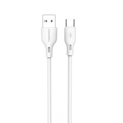 Pavareal USB/Type-C, 1 m kaina ir informacija | Kabeliai ir laidai | pigu.lt