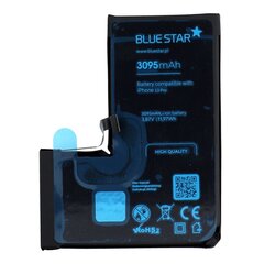 Blue Star PT-590749 цена и информация | Аккумуляторы для телефонов | pigu.lt