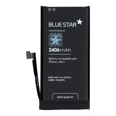 Blue Star PT-590751 цена и информация | Аккумуляторы для телефонов | pigu.lt