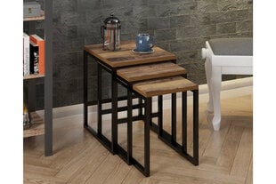 Kavos staliukas Asir, rudas/juodas kaina ir informacija | Kavos staliukai | pigu.lt