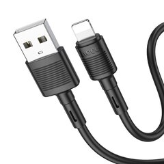 Hoco USB-C/Lightning, 1 m цена и информация | Кабели и провода | pigu.lt