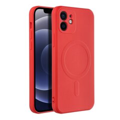 Oem iPhone 12 kaina ir informacija | Telefono dėklai | pigu.lt