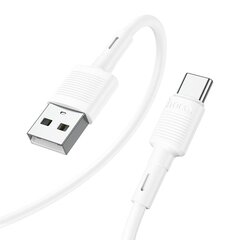 Hoco USB-C/type-C, 1 m цена и информация | Кабели и провода | pigu.lt