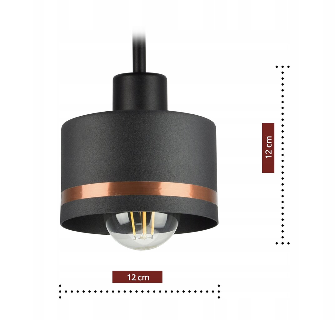 Pakabinamas šviestuvas Luxolar E27 kaina ir informacija | Pakabinami šviestuvai | pigu.lt
