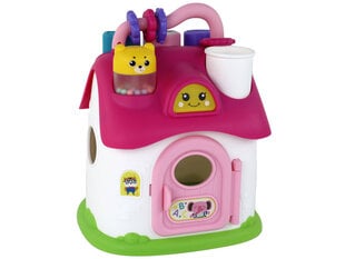 Vaikiškas rūšiuoklis-namelis Lean toys, rožinis kaina ir informacija | Lavinamieji žaislai | pigu.lt