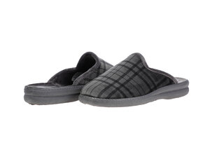 30017 Scandi Пляжная обувь Мужские серый цена и информация | Мужские шлепанцы, босоножки | pigu.lt