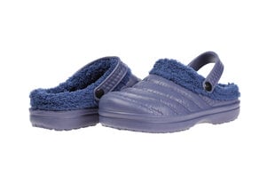 Обувь для плавания 02688 Scandi, синяя цена и информация | Мужские шлепанцы, босоножки | pigu.lt