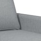 Dvivietė sofa vidaXL, pilka цена и информация | Sofos | pigu.lt