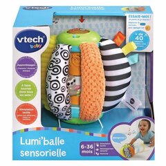 Edukacinis žaidimas Vtech Baby цена и информация | Игрушки для малышей | pigu.lt