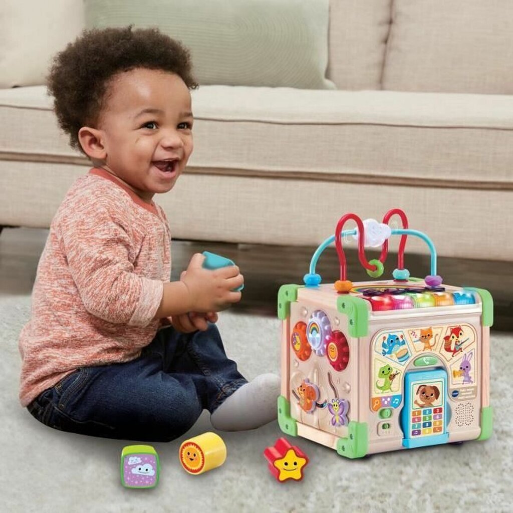 Veiklos centras Vtech Baby 80-617105 цена и информация | Žaislai kūdikiams | pigu.lt