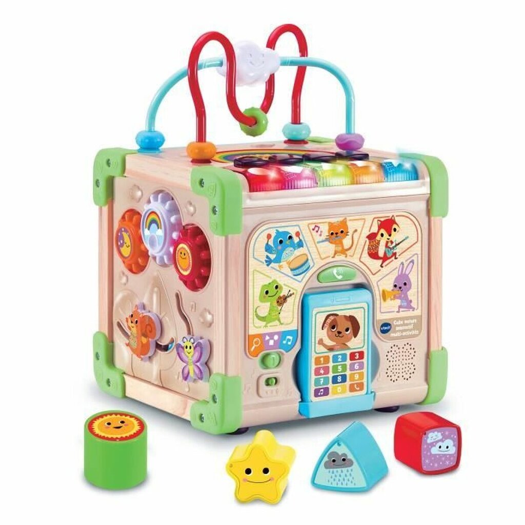 Veiklos centras Vtech Baby 80-617105 kaina ir informacija | Žaislai kūdikiams | pigu.lt