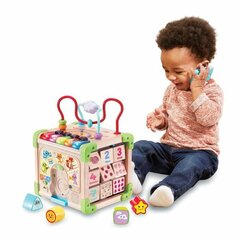Veiklos centras Vtech Baby 80-617105 цена и информация | Игрушки для малышей | pigu.lt