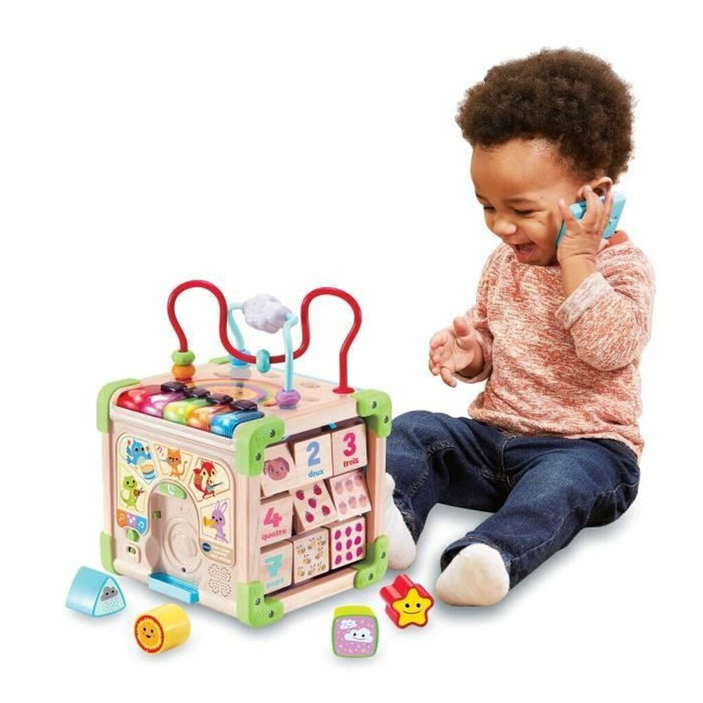 Veiklos centras Vtech Baby 80-617105 kaina ir informacija | Žaislai kūdikiams | pigu.lt