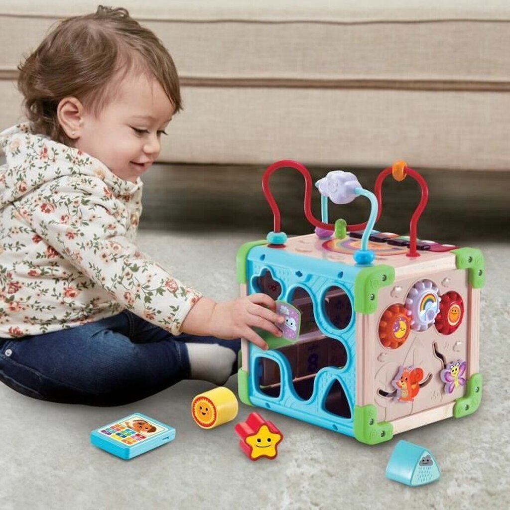 Veiklos centras Vtech Baby 80-617105 цена и информация | Žaislai kūdikiams | pigu.lt