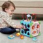 Veiklos centras Vtech Baby 80-617105 kaina ir informacija | Žaislai kūdikiams | pigu.lt