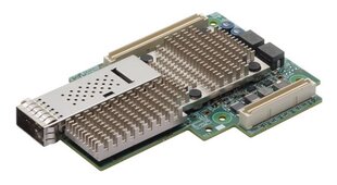 Broadcom BCM957504-M1100G16 цена и информация | Материнские платы | pigu.lt