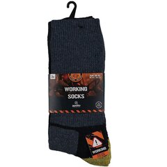 Darbo kojinės vyrams Apollo 12543, įvairių spalvų, 3 poros kaina ir informacija | Vyriškos kojinės | pigu.lt