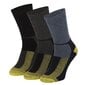 Darbo kojinės vyrams Apollo 12543, įvairių spalvų, 3 poros kaina ir informacija | Vyriškos kojinės | pigu.lt