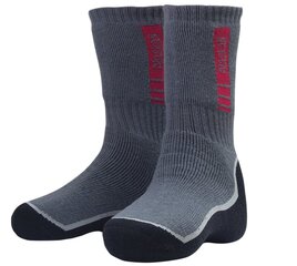 Носки Alaskan L, 39-43, Серый/черный цена и информация | Мужские носки | pigu.lt