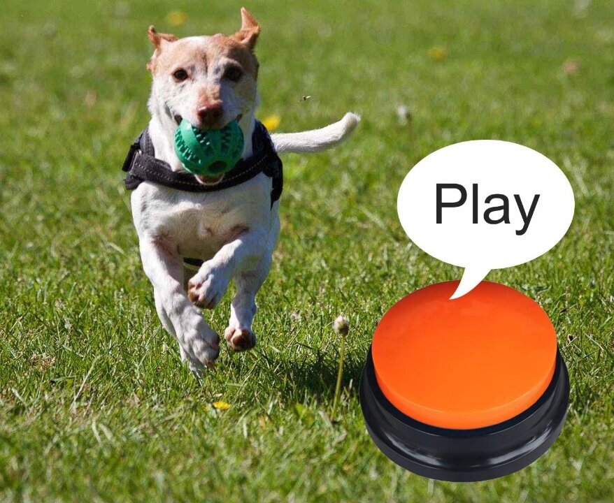 Edukacinis žaidimas šunų dresūrai, 4 vnt. kaina ir informacija | Žaislai šunims | pigu.lt