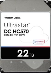 Western Digital HDD Ultrastar 22TB SATA 0F48155 kaina ir informacija | Išoriniai kietieji diskai (SSD, HDD) | pigu.lt