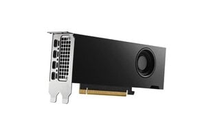 PNY Nvidia RTX 4000 SFF Ada Generation (VCNRTX4000ADALP-SB) kaina ir informacija | Vaizdo plokštės (GPU) | pigu.lt