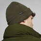 Puma kepurė berniukams Archive Mid Fit Beanie Green 022848 17, žalia kaina ir informacija | Kepurės, pirštinės, šalikai berniukams | pigu.lt