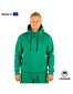 Džemperis unisex Buggy Hoodie Exquisite Line Kelly Green, žalias цена и информация | Džemperiai vyrams | pigu.lt