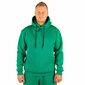 Džemperis unisex Buggy Hoodie Exquisite Line Kelly Green, žalias kaina ir informacija | Džemperiai vyrams | pigu.lt