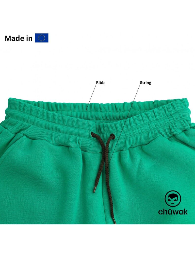 Kelnės unisex Buggy Pants Exquisite Line Kelly Green, žalios цена и информация | Sportinė apranga vyrams | pigu.lt