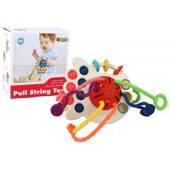 Lavinamasis sensorinis žaislas kūdikiams Lean Toys kaina ir informacija | Žaislai kūdikiams | pigu.lt
