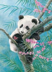 Dėlionė Castorland Panda ant bambuko, 70 d. kaina ir informacija | Dėlionės (puzzle) | pigu.lt