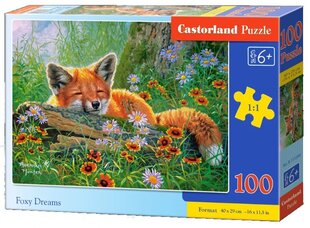 Dėlionė Castorland Lapės sapnai, 100 d. kaina ir informacija | Dėlionės (puzzle) | pigu.lt