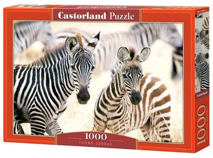 Dėlionė Castorland Zebrai, 1000 d. kaina ir informacija | Dėlionės (puzzle) | pigu.lt