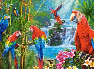 Пазл Встреча попугаев, 2000 деталей цена и информация | Пазлы | pigu.lt